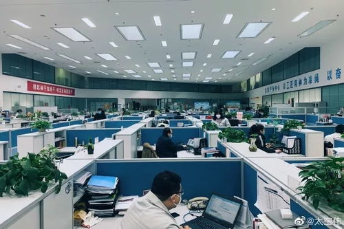 复工第一天的北京长这样 图集