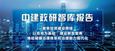 中建政研智库报告 全过程工程咨询服务在ppp领域中的应用