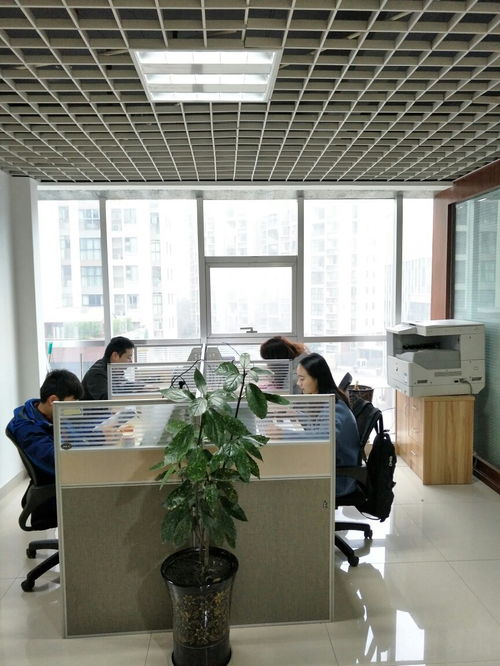 造价师 预算师 北京中天恒达工程咨询有限责任公司四川分公司招聘信息