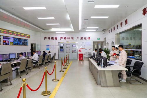 保障能源安全 国能肇庆电厂二期工程厂用电受电一次成功