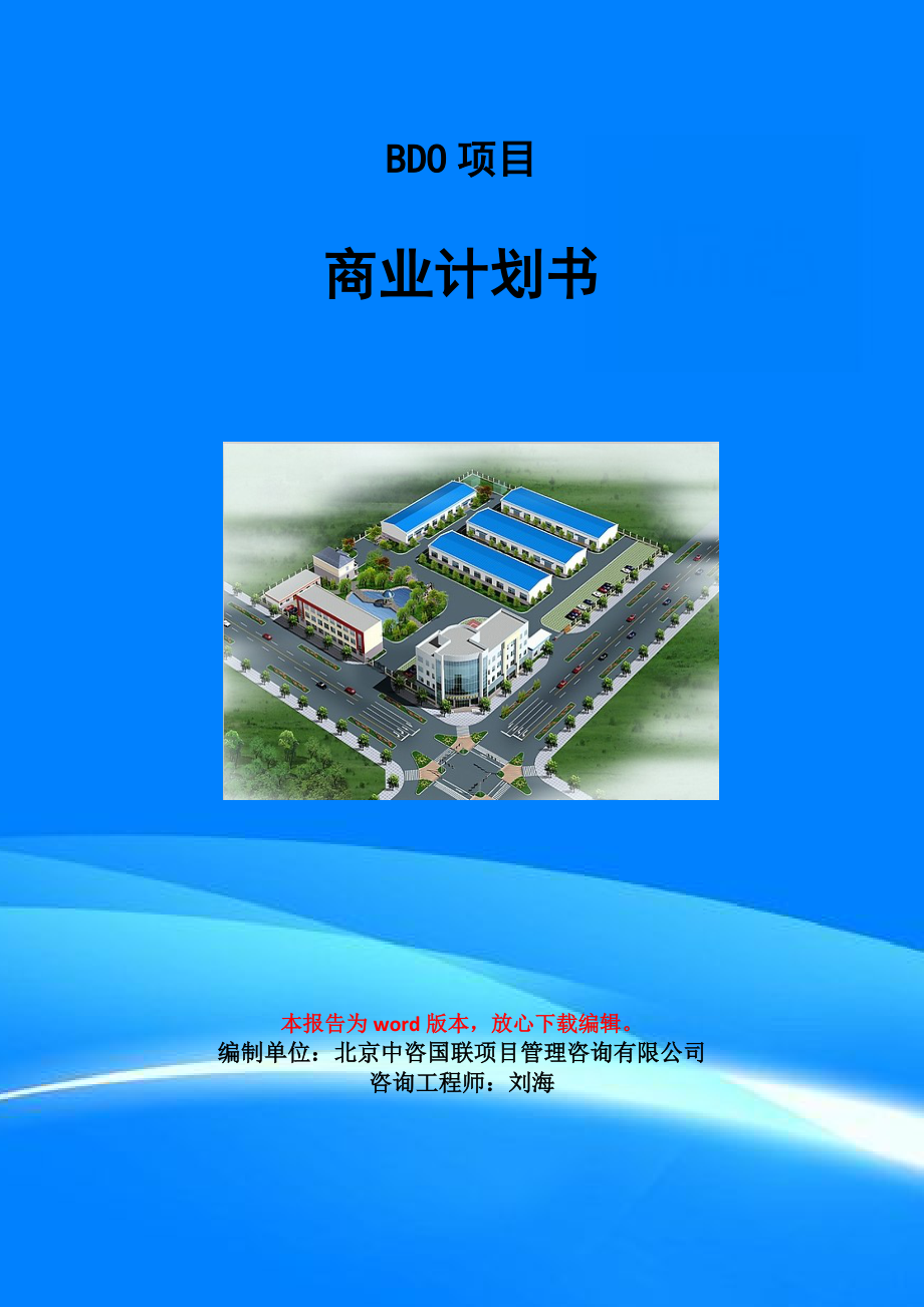 BDO项目商业计划书写作模板
