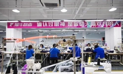 hytlai华悦天籁关注 犀牛工厂 投产 3年内还将打造千家年销过亿超级工厂