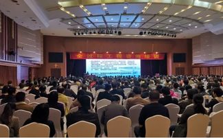 中国建设监理协会