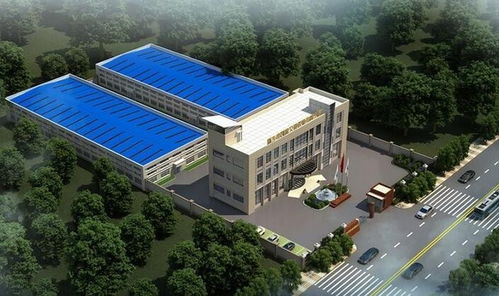 健康养老旅游项目可行性研究报告